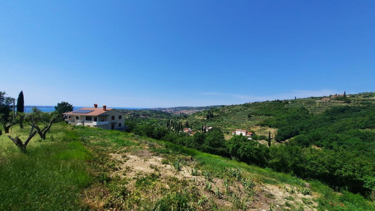 Apartma Bajc Sečovlje Buitenkant foto