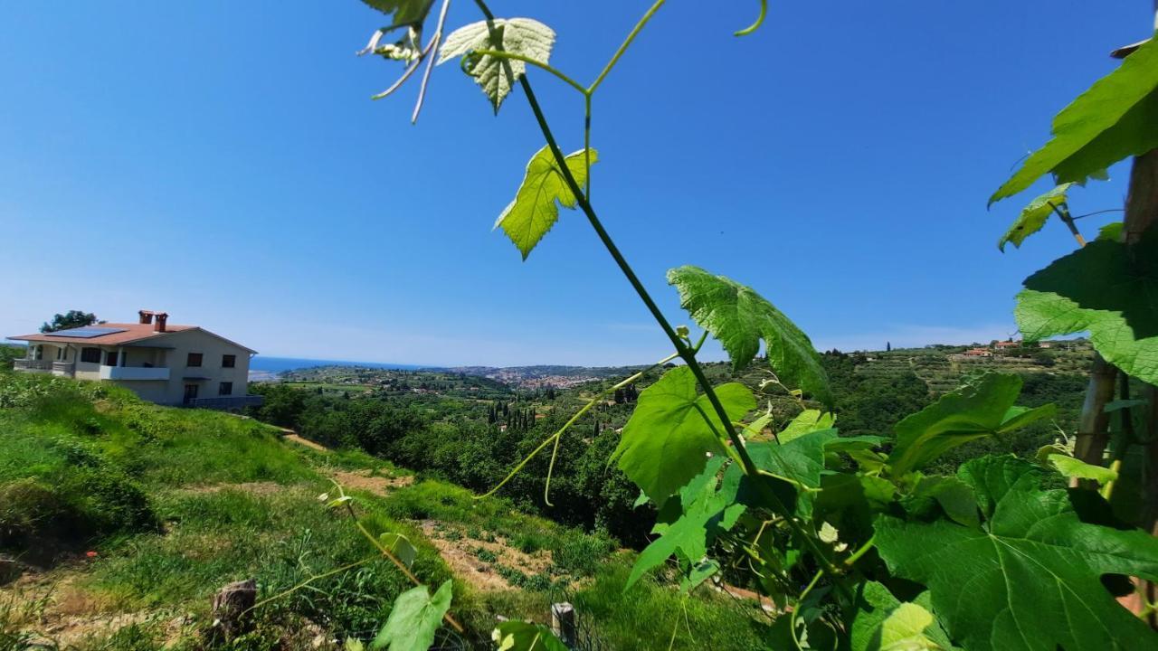 Apartma Bajc Sečovlje Buitenkant foto