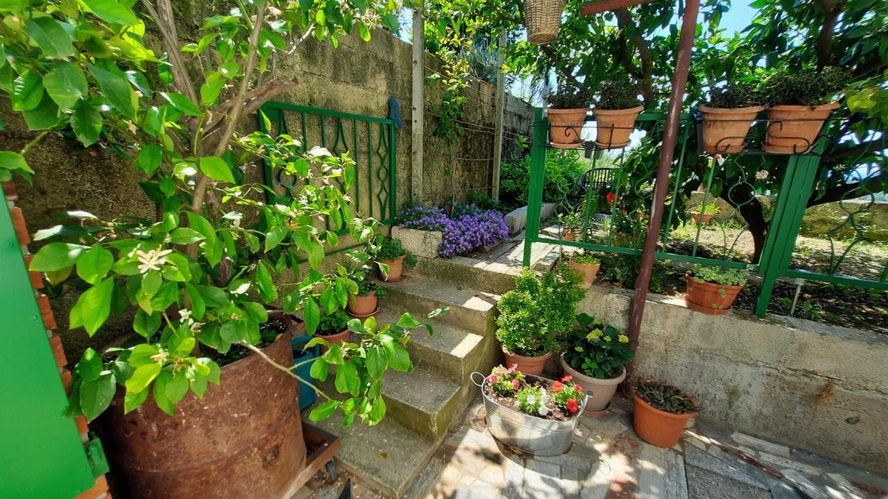 Apartma Bajc Sečovlje Buitenkant foto