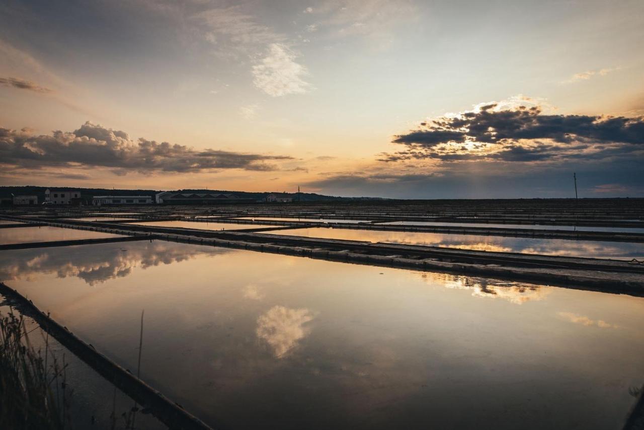 Apartma Bajc Sečovlje Buitenkant foto